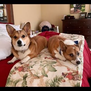 Meet your Posher, Mary